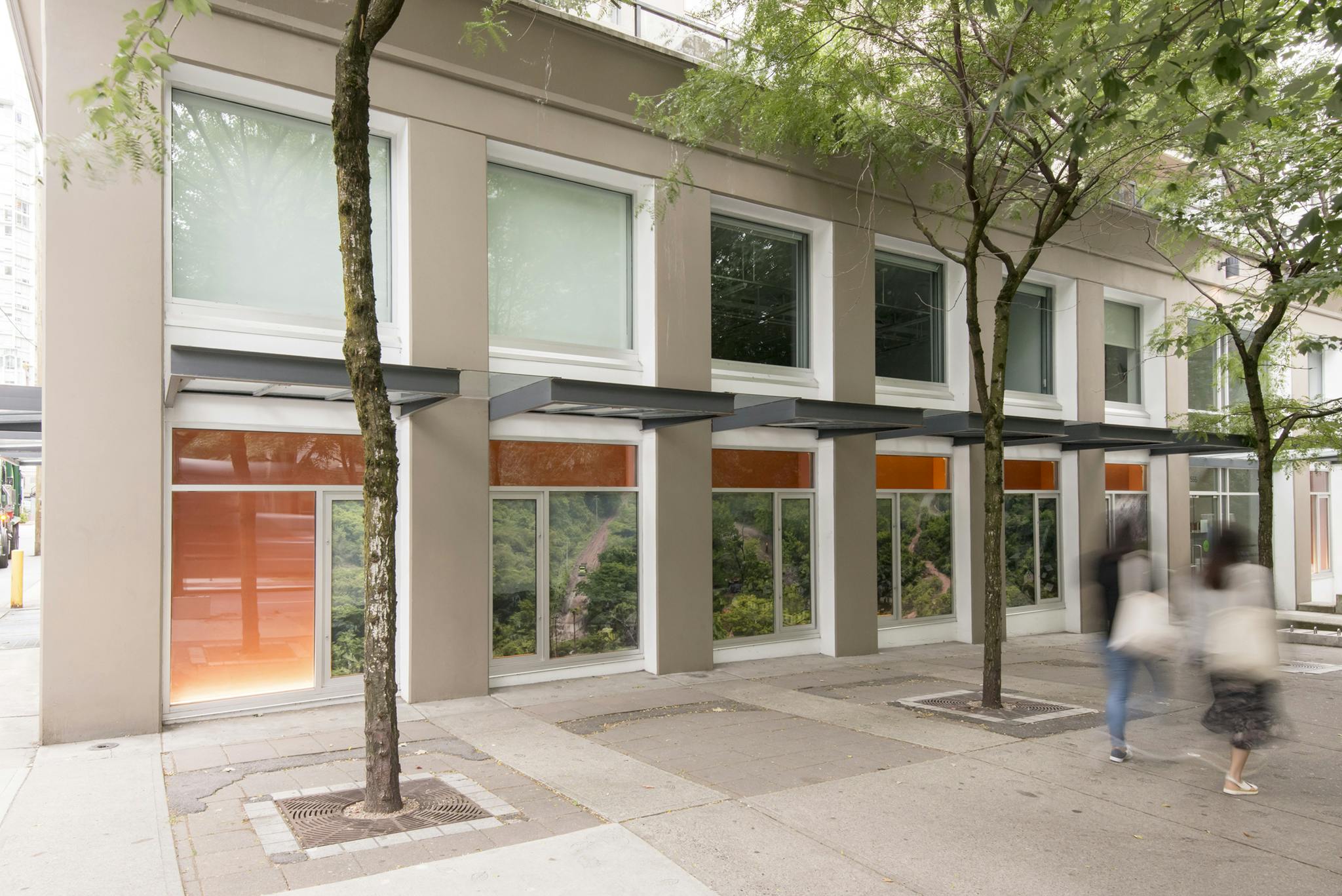 An image of the exterior of CAG at an angle. A panoramic photograph in vinyl of a rainforest landscape is installed across six windows over an orange background.