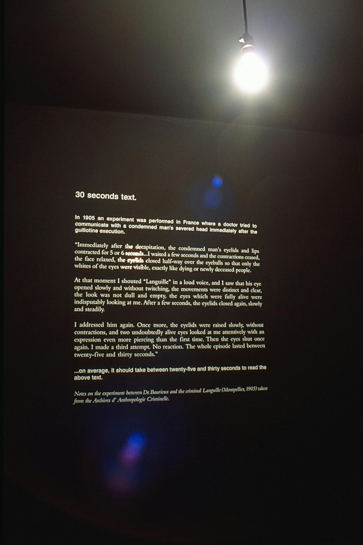 A text-based artwork is printed in white on a black gallery wall. This piece, titled 30 seconds text by Douglas Gordon, explains an experiment conducted in France in 1905.