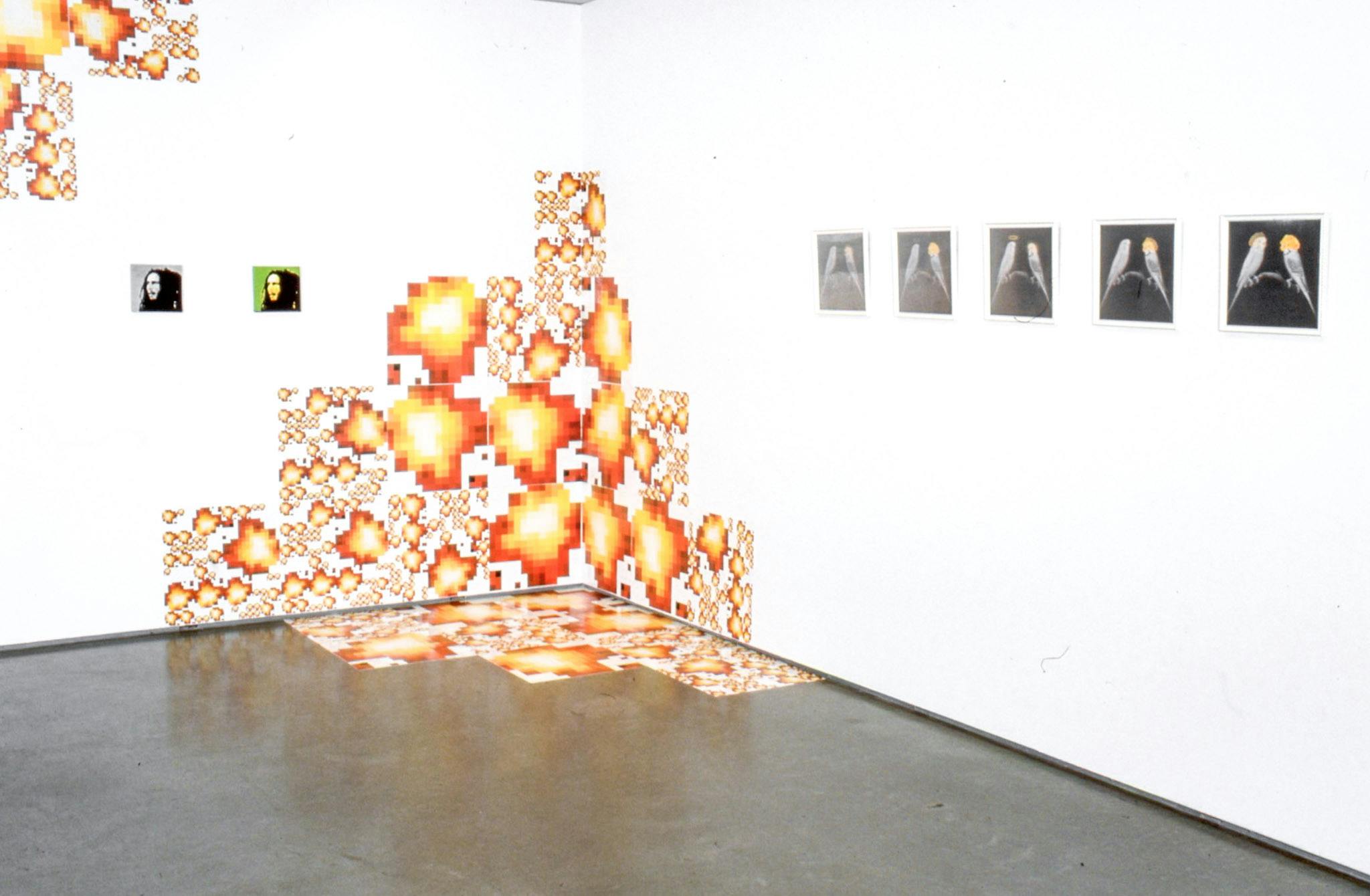 Installation image of works in a gallery. A series of five images of two birds facing each other are mounted on a wall. The corner of the room is partially covered by square pieces of vinyl on which orange-coloured graphic designs are printed.