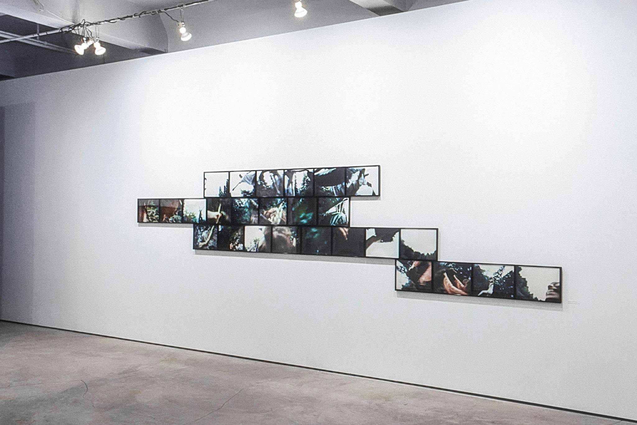 On the wall of a gallery, there are 28 cibachrome photographs in black frames, arranged in an irregular bond pattern. The photos show cropped images of people moving around outdoors, trees, and grass.