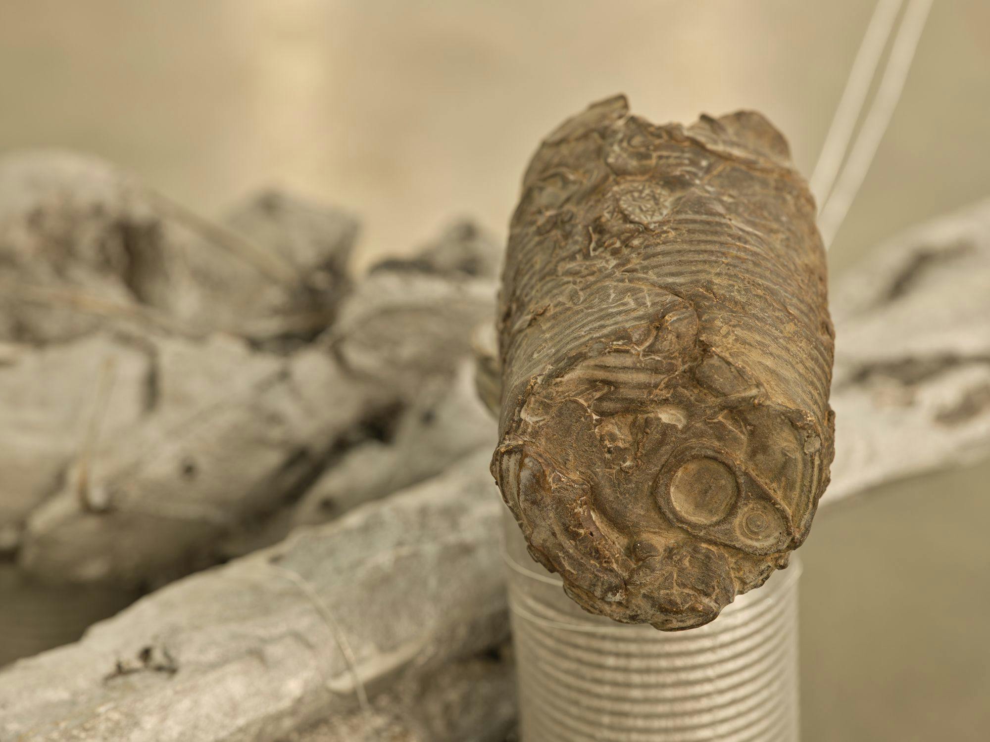 A detail of a sculpture comprised of silver-painted baguettes, wire, aluminum cans and a bronze can. The bronze can is in focus and its background is blurred.