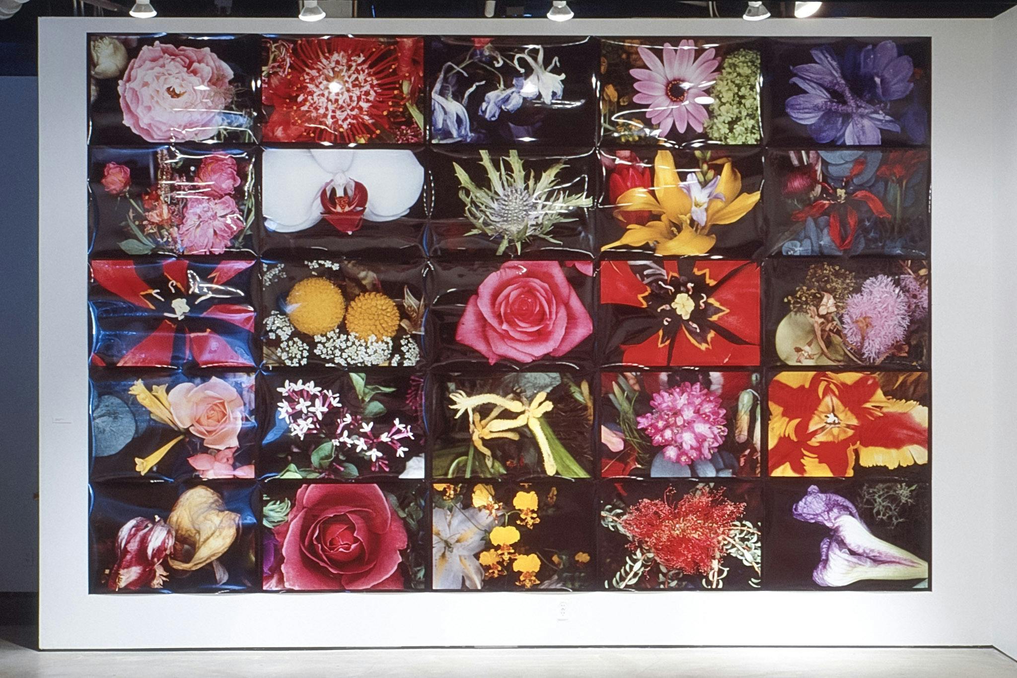 A large scale photo collage is installed on a white gallery wall. The collage is made up of  a 10 x 10 grid of photographs of various flowers and is almost the full height and width of the wall.