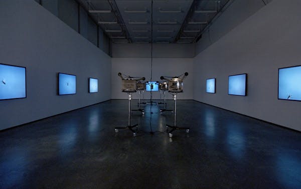 Seven film projectors are installed in the middle of a darkened gallery. On the gallery walls, these machines project a film showing a wasp flying in the blue sky.  