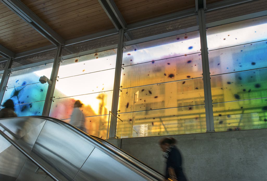 A photographic mural in vinyl is installed on the windows of Yaletown-Roundhouse Station. Black dots and star-forms scatter across a semi-translucent background of softly focussed yellows, blues and greens.
