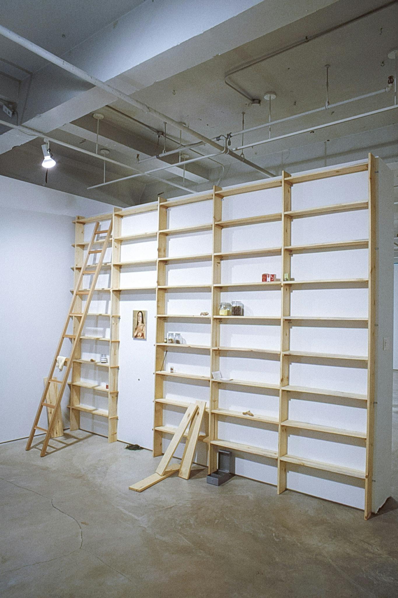 This is a side view of a separation wall in the gallery, to which wooden pantry shelves are attached. A ladder is leaning against the shelves, and some cans and bins are placed on the shelves.
