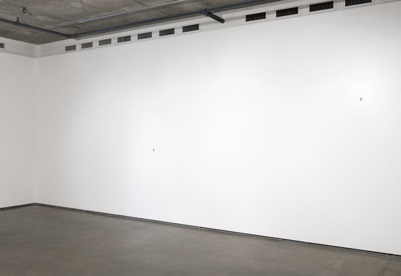 Two small-scale mosquito sculptures by Xu Zhen installed on a white gallery wall. They are only visible as black dots in this image; one on the upper right and another on the lower left.