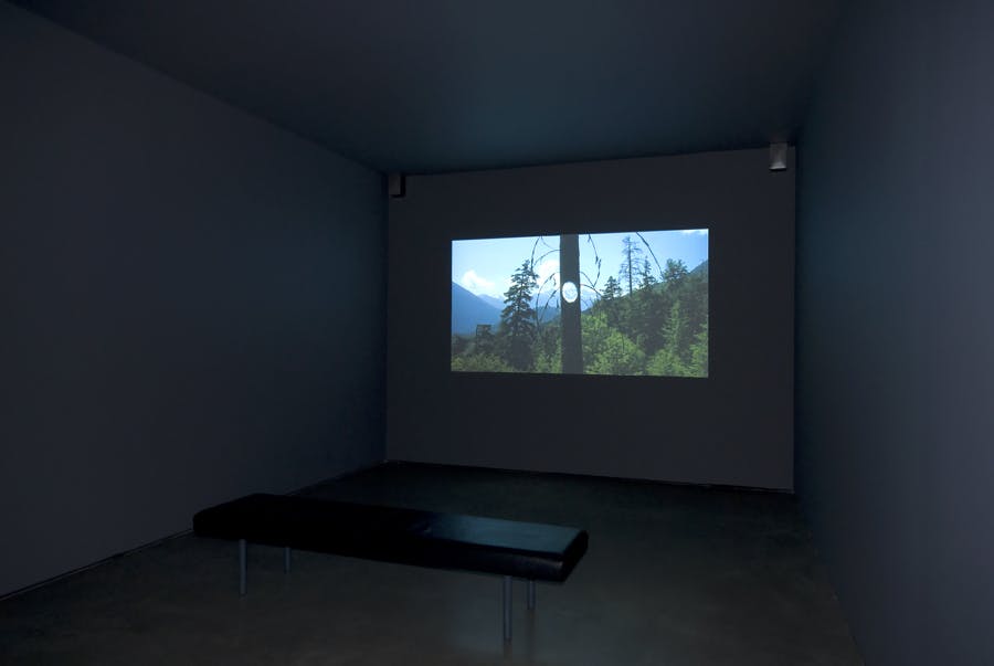 A dark room with a bench in front of a projection on a screen. It depicts tree tops and distant mountains. In the middle of the frame, a tree with a hole showing the mountains in the back.