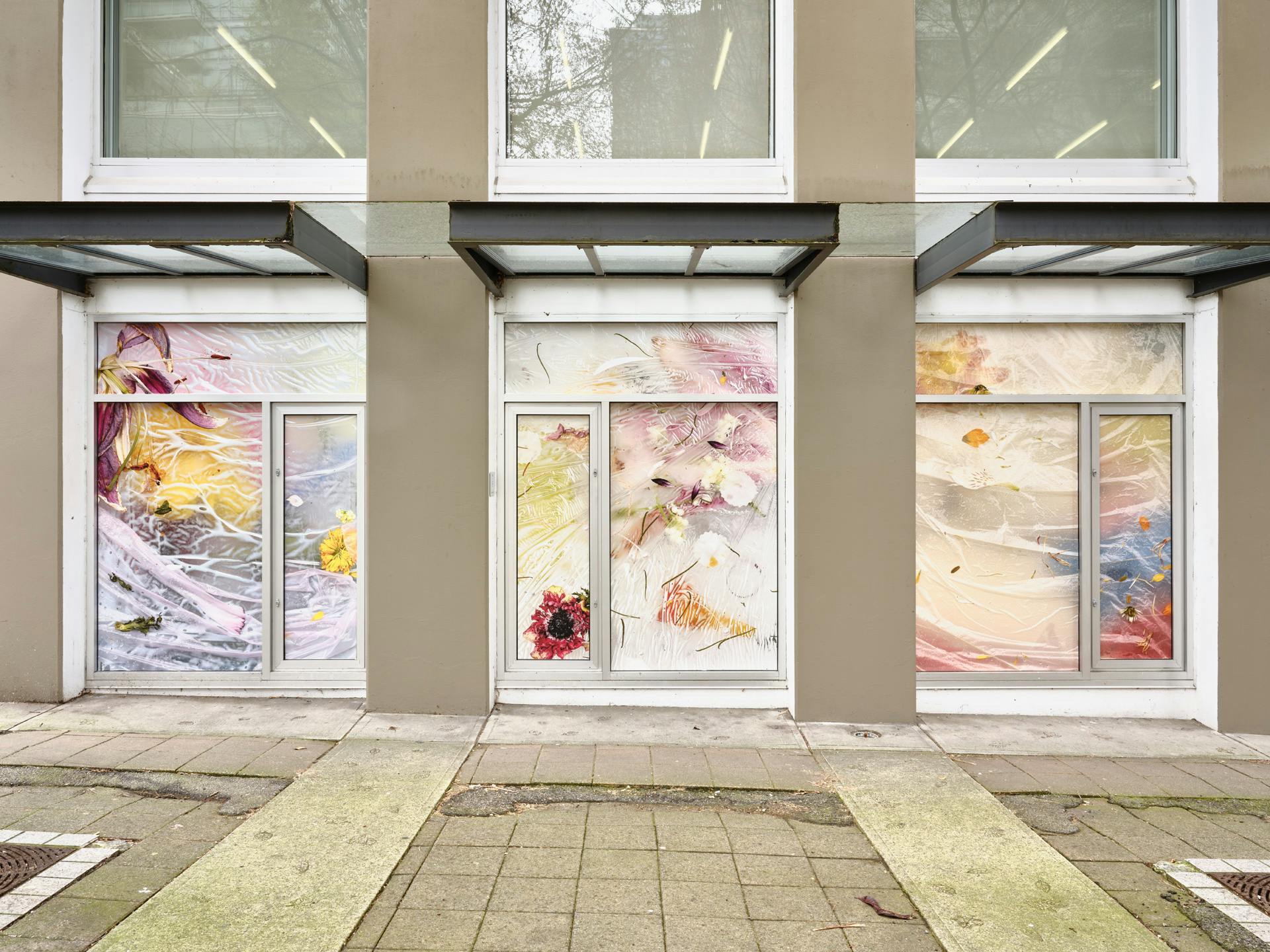 An exterior view of three of CAG’s windows covered with vinyl photographs depicting diffuse colours and indecipherable plant matter, which appear beneath a layer of wrinkled plastic film. 