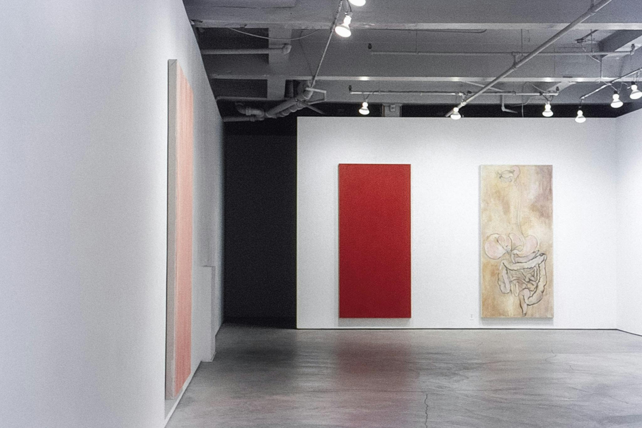 A photo of three vertical paintings in a gallery space. One painting is pale pink and hangs to the left. One painting is all red, and another depicts a human digestive system. 