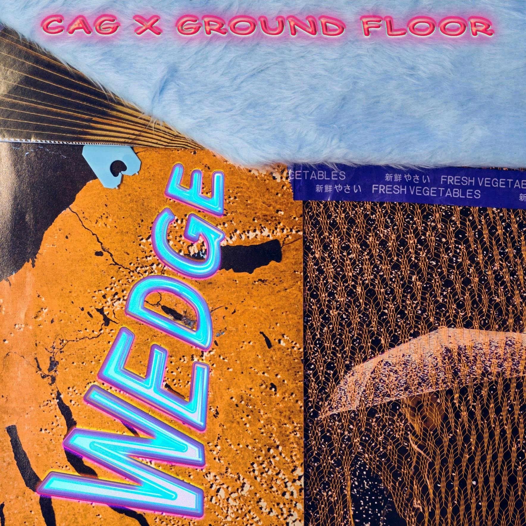 A collage featuring, amongst other details, a bird’s-eye view of a mottled orange surface, a wedge of light blue fun fur and a bread tag. In blue iridescent text, the word “WEDGE” appears across the image.