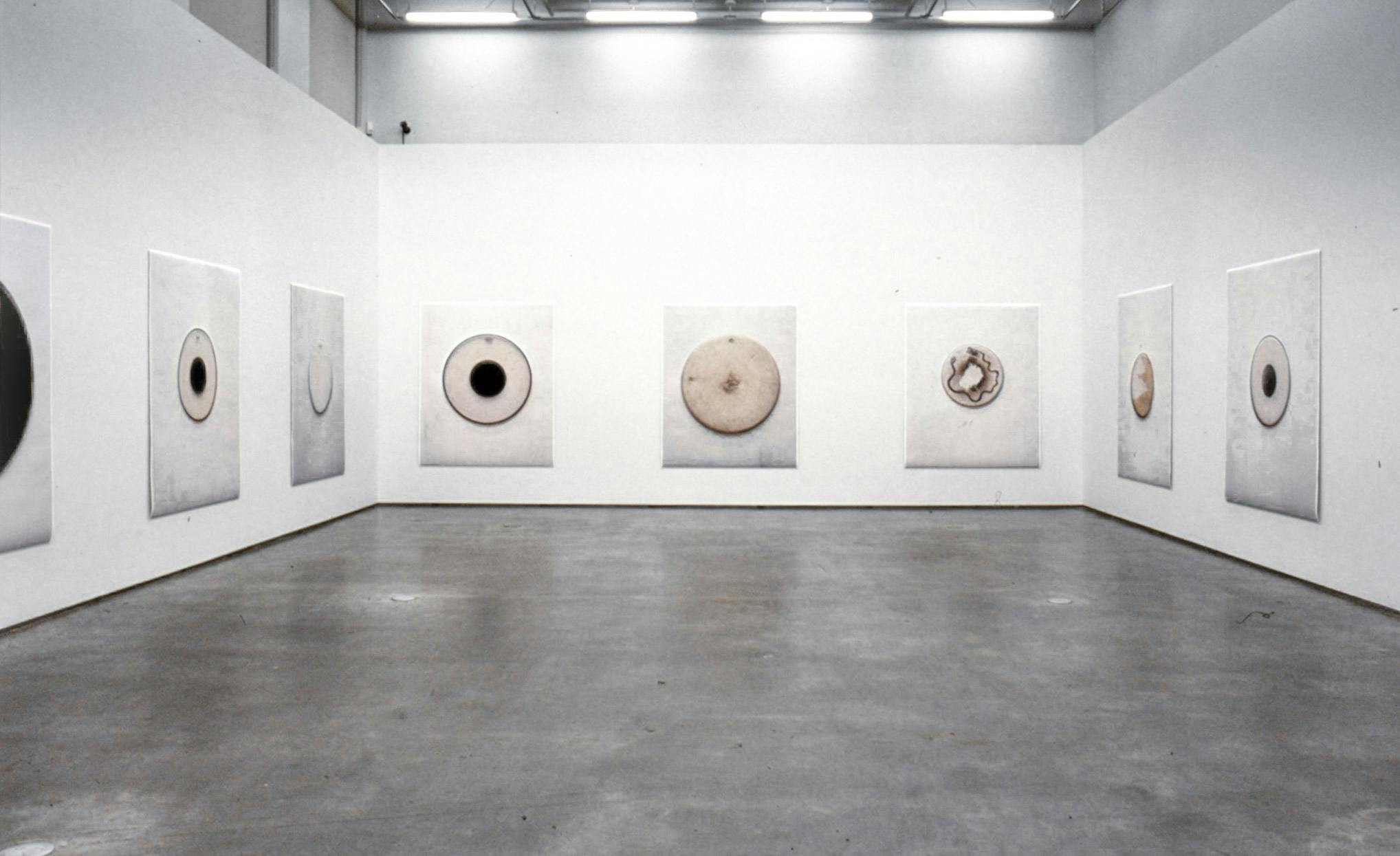 Eight large-sized coloured photographs are installed on the gallery walls. They are all same-sized, and each of them depicts a different circular-shaped flat object in the middle.