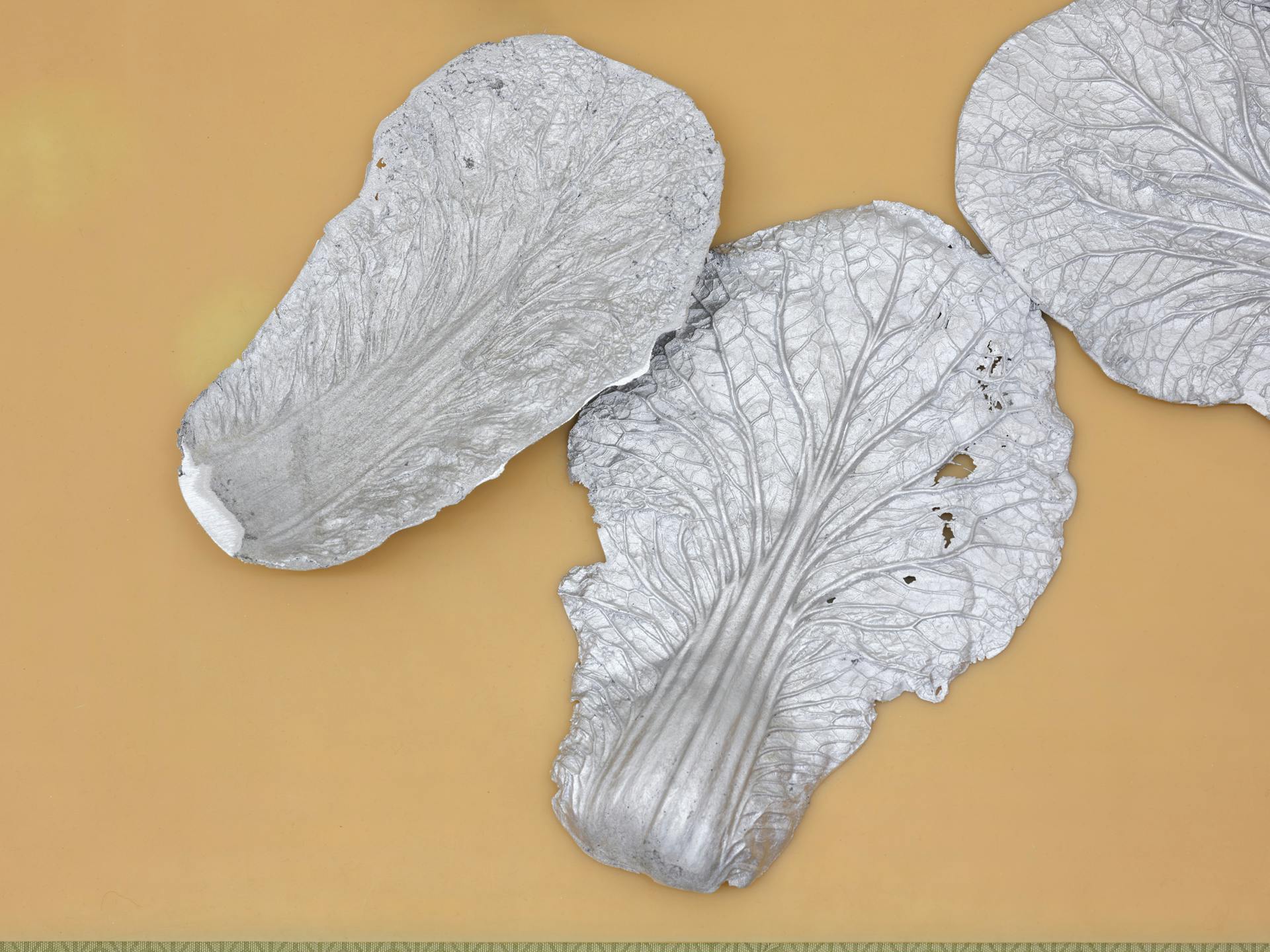 Detail of cast aluminium cabbage sculptures sitting on a flat tatami mat. 