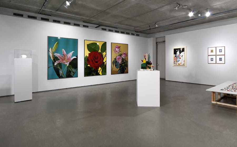 Installation image of the group show Triumphant Carrot. Various artworks installed in a gallery space, from framed photographs on the wall, sculptural objects on plinths to colourful objects on a table.
