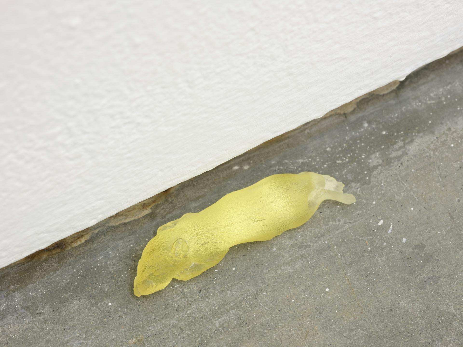 A yellow-coloured cast glass sculpture depicting a rat pup sits near the intersection of the floor and a wall.