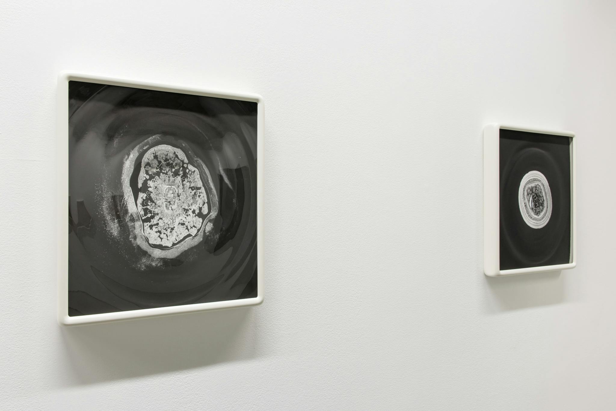 Two framed photographs hang on the wall of a gallery. The black and white images depict cross sections of calcite. Each frame’s glass is hand-blown, creating a ripple effect above the photographs. 