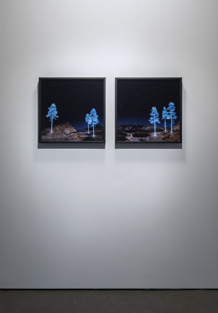 A pair of Kelly Richardson’s photographs are installed side by side on the gallery wall. The images depict blue trees glowing in the night on a rocky landscape. 