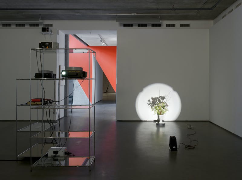 In a darkened gallery space, flowers are arranged in a white vase, illuminated by a spotlight in front of a white wall. Glass shelves holding projectors are placed in the middle of the gallery.