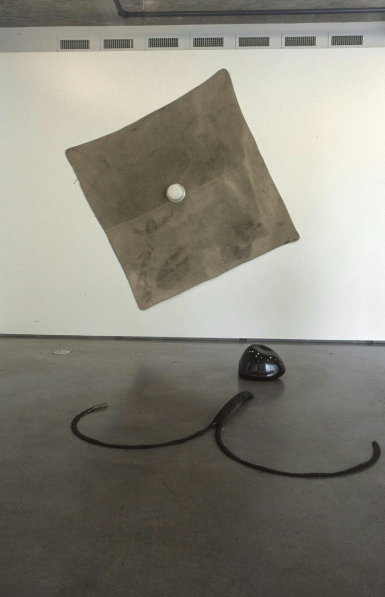 Installation image of Jerry Pethick’s artworks. A round object and a lope-like object are on the floor. The combination of there objects look like a teddy bear's nose and a mouth. A large square piece of brown fabric is mounted on the wall. 