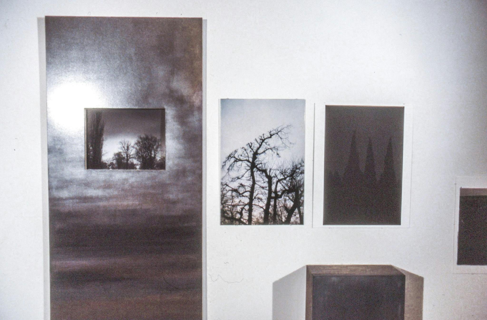 Several artworks on a white wall. 3 are photos of dark trees, 2 mounted with no frame, one in a long wood panel that is painted as a cloudy scene. At the base of the wall there is a dark wood box. 