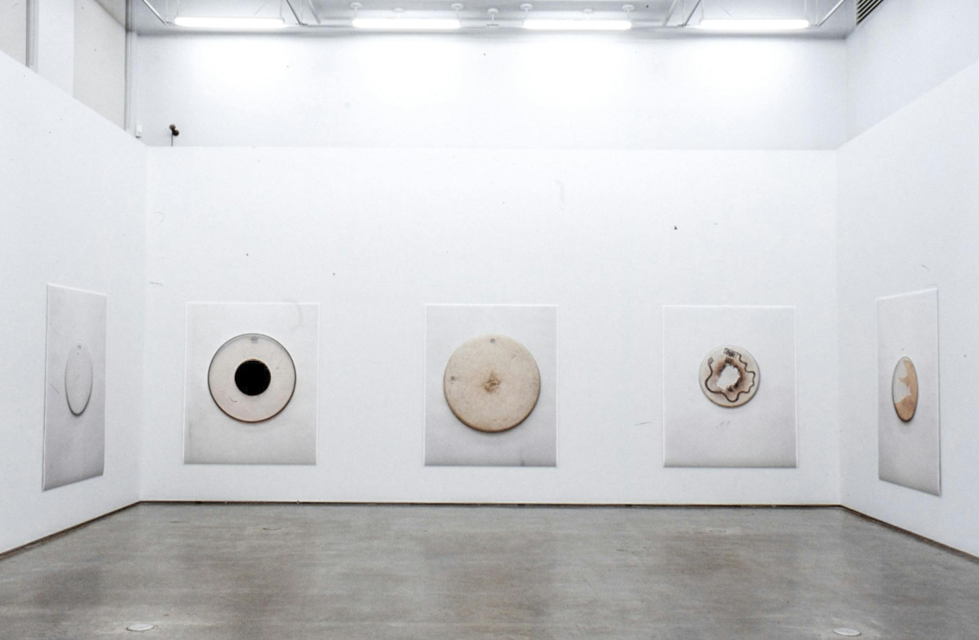 Five large-sized coloured photographs are installed on the gallery walls. They are all same-sized, and each of them depicts a different circular-shaped flat object in the middle.