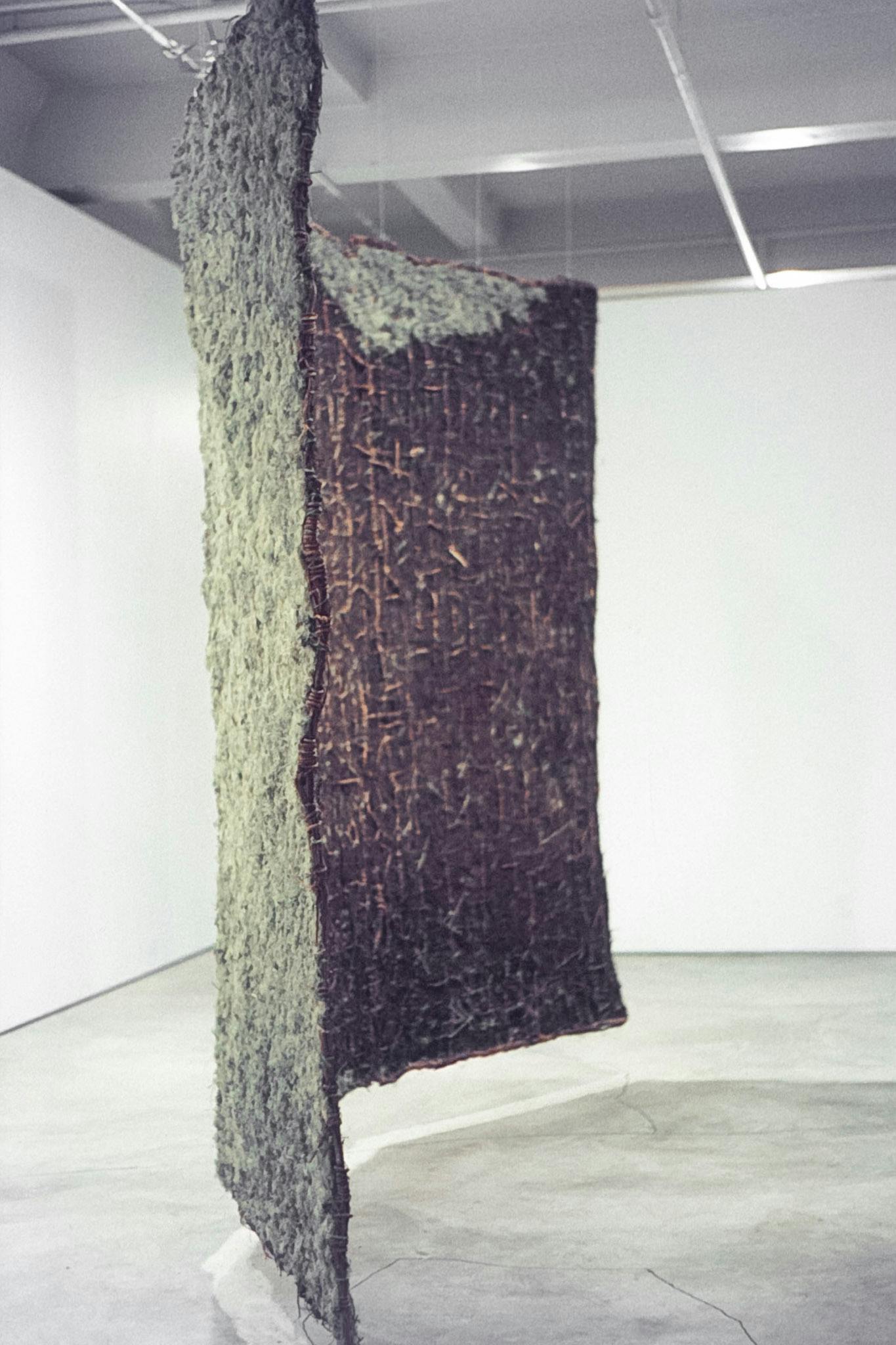 A large installation in a gallery. The work is a large plane of coils of rusty wire on one side, and green moss on the other. The work is curved and pieces of each material poke out on either side.