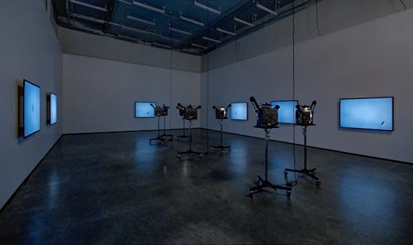 A film projector is installed in the middle of a darkened gallery. It projects a film showing a wasp flying in the blue sky on a small rectangular screen mounted on a gallery wall. 