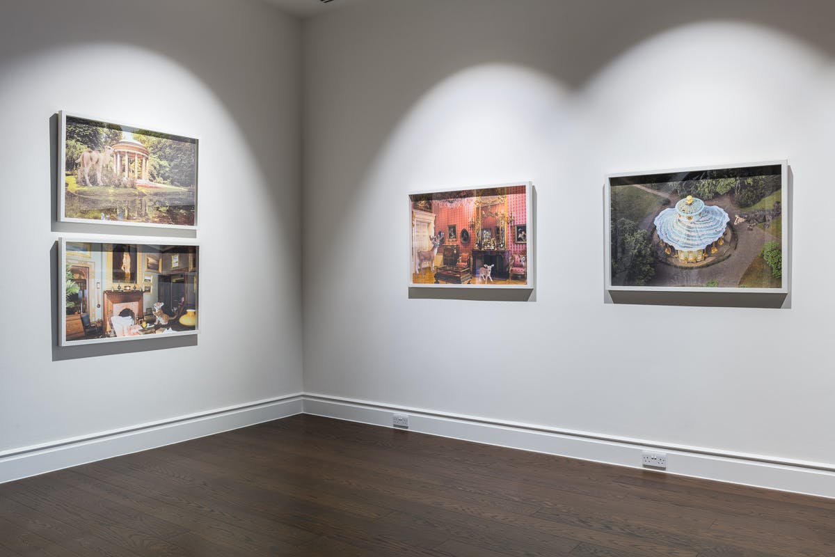 Four framed images hang on two walls of a gallery space. The images display a variety of lavish indoor and outdoor spaces, with animals, like a tiger or a moose, existing within these spaces.