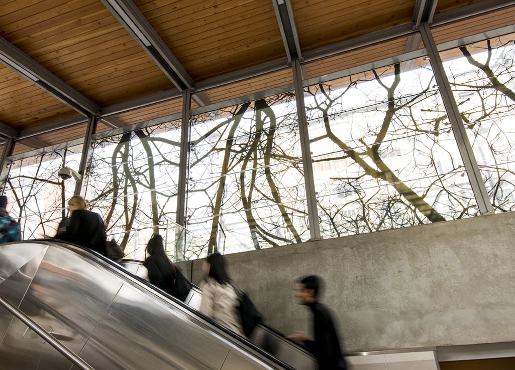 An interior photograph of Yaletown-Roundhouse Station. The windows of the station are installed with photographic prints in vinyl of tree silhouettes. Outdoor light shines through into the station.