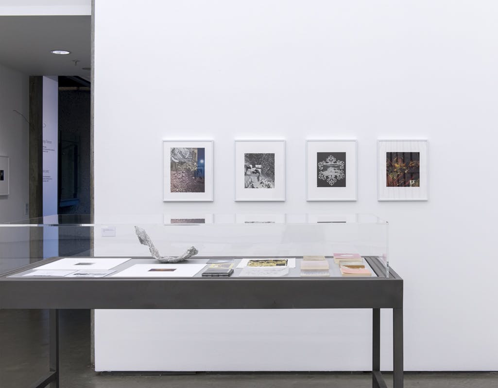 James Welling’s artworks installed in a gallery. Four framed colour photographs hang on the wall. A vitrine sits in front of the wall, containing books, images and objects.