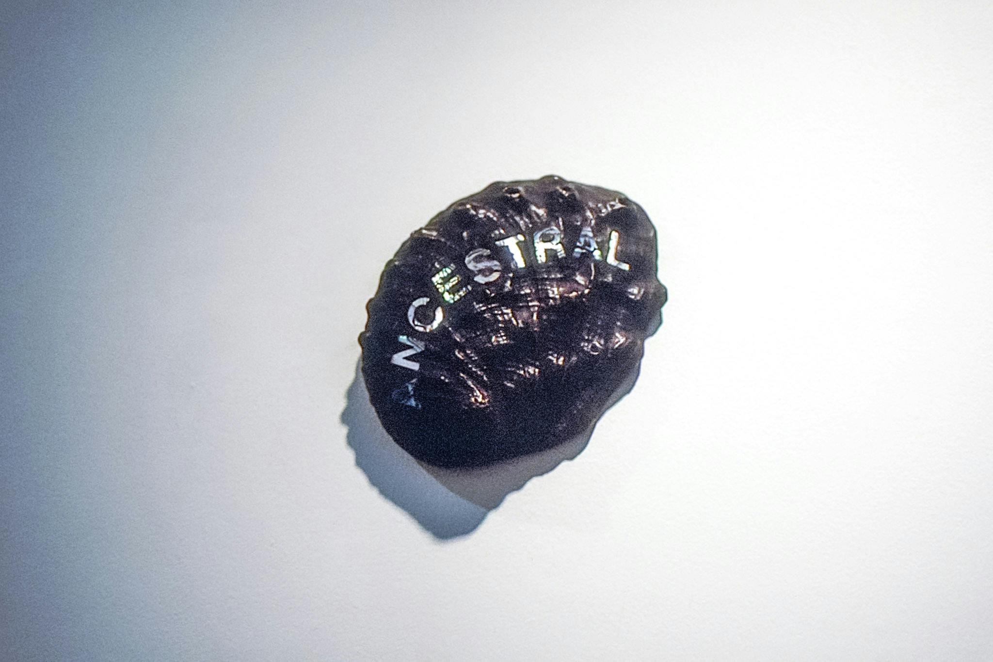 A close-up photo of a shell sculpture mounted on a white gallery wall. On the black surface of the round-shaped shell, the word ANCESTRAL is curved to show the mother-of-pearl inside.
