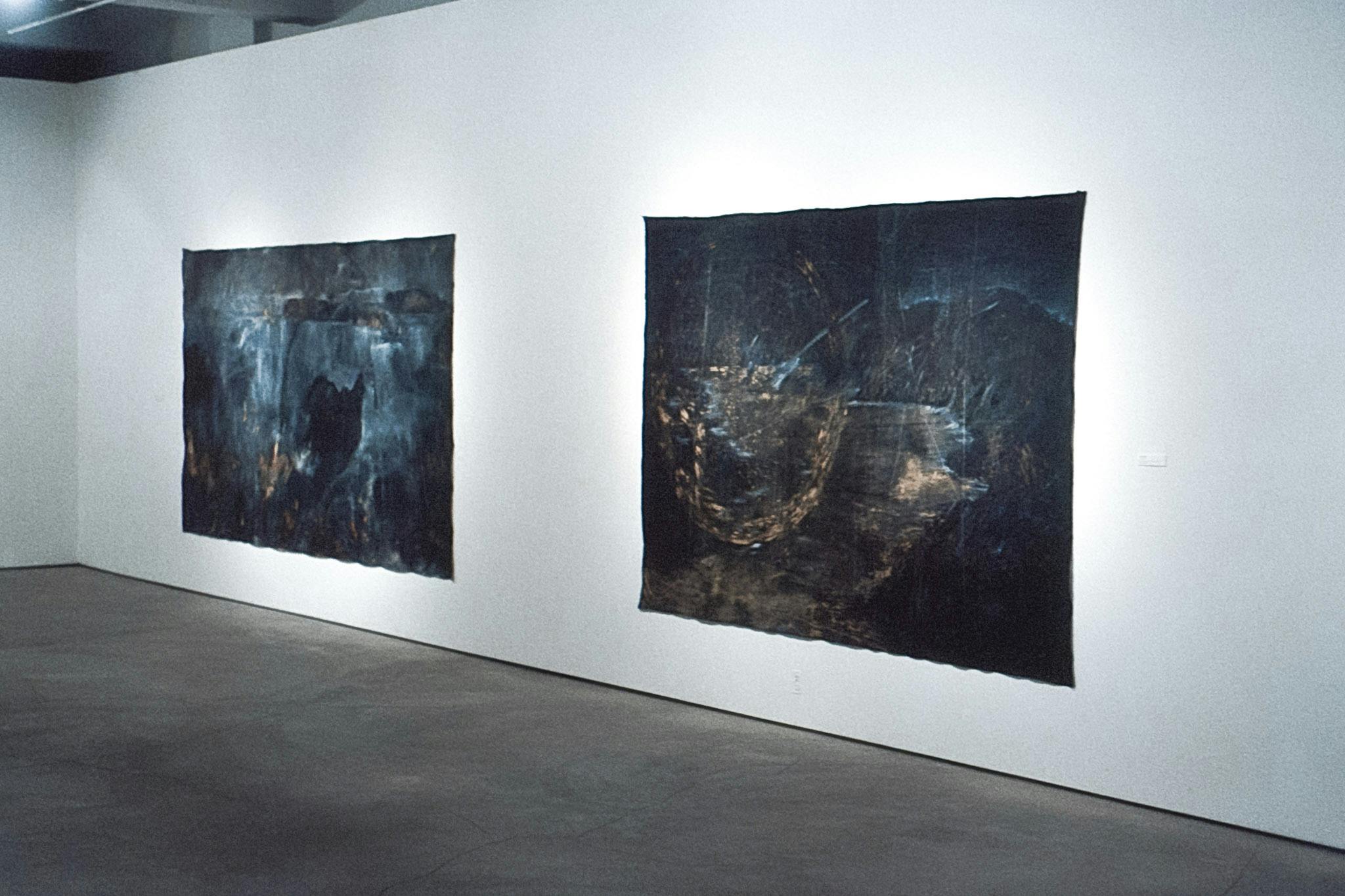 Two large paintings on a white wall. The works resemble damaged film negatives, and are presented on unstretched canvas, pinned directly to the wall. They are dark with soft, light, details. 