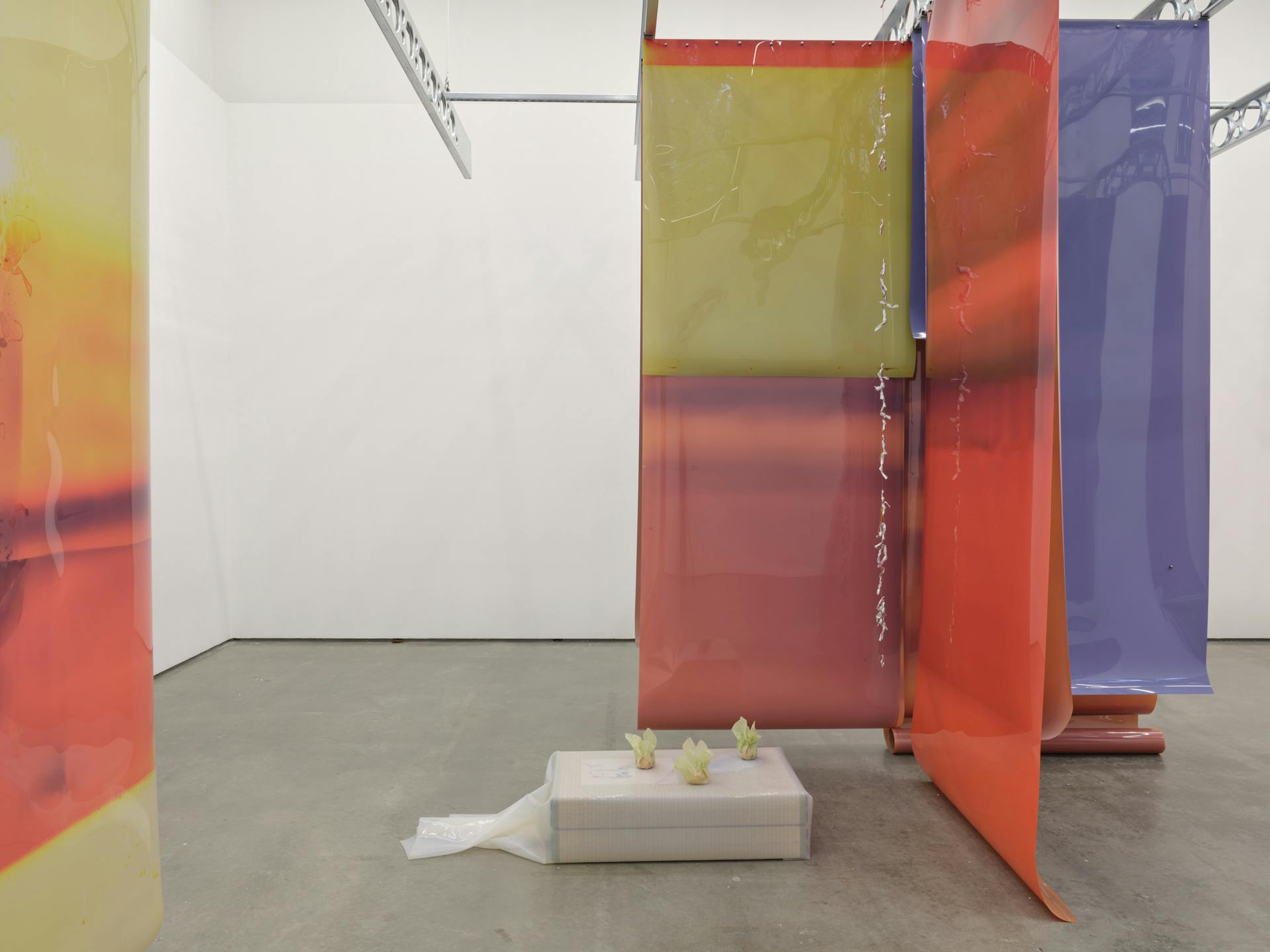 Long earth tone sheets of film of various colours suspended from metal ceiling beams. A small box supporting three fruit is visible between two perpendicular sheets of film.