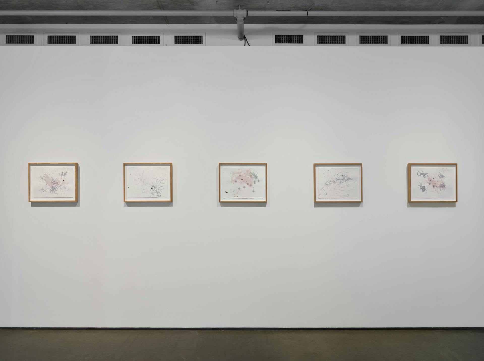 Five hairprints by Tanya Lukin Linklater arranged in a row on a white wall. Prints are in wood frames and feature grey, lavender-pink, and red marks in swirls and dots on white backgrounds.