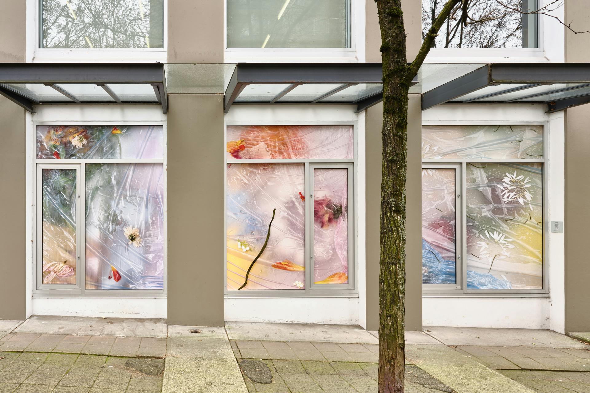 An exterior view of three of CAG’s windows covered with vinyl photographs depicting diffuse colours and indecipherable plant matter, which appear beneath a layer of wrinkled plastic film. 
