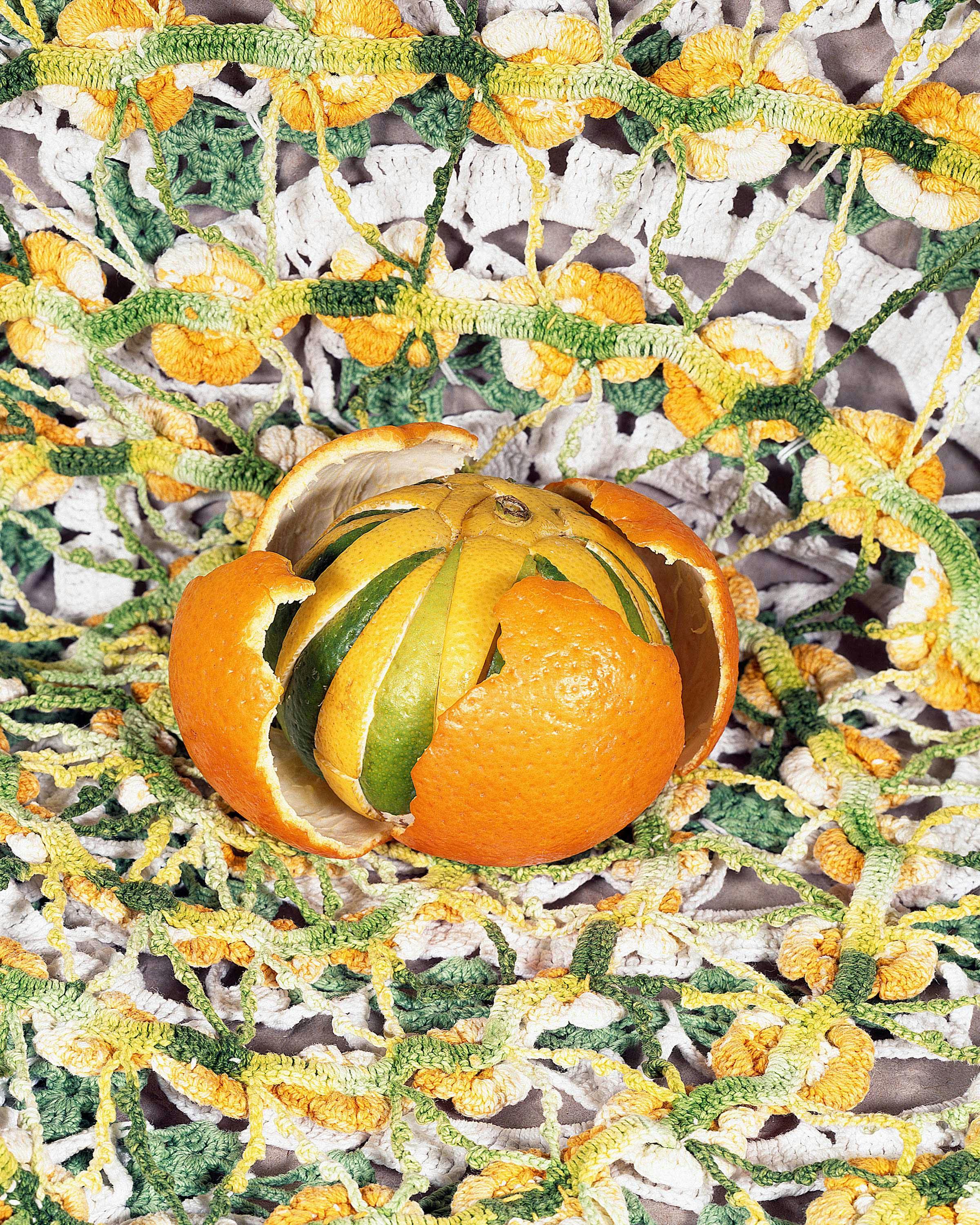 A detail of a photo-based artwork by Svava Tergesen. The image shows a food sculpture that Tergesen made out of citrus fruits. 