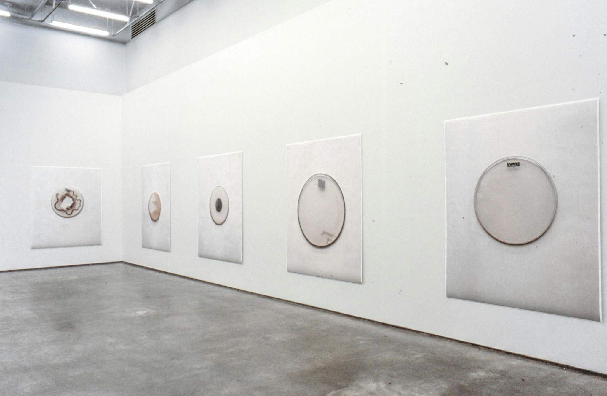Five large-sized coloured photographs are installed on the gallery walls. They are all same-sized, and each of them depicts a different circular-shaped flat object including a drum cover. 