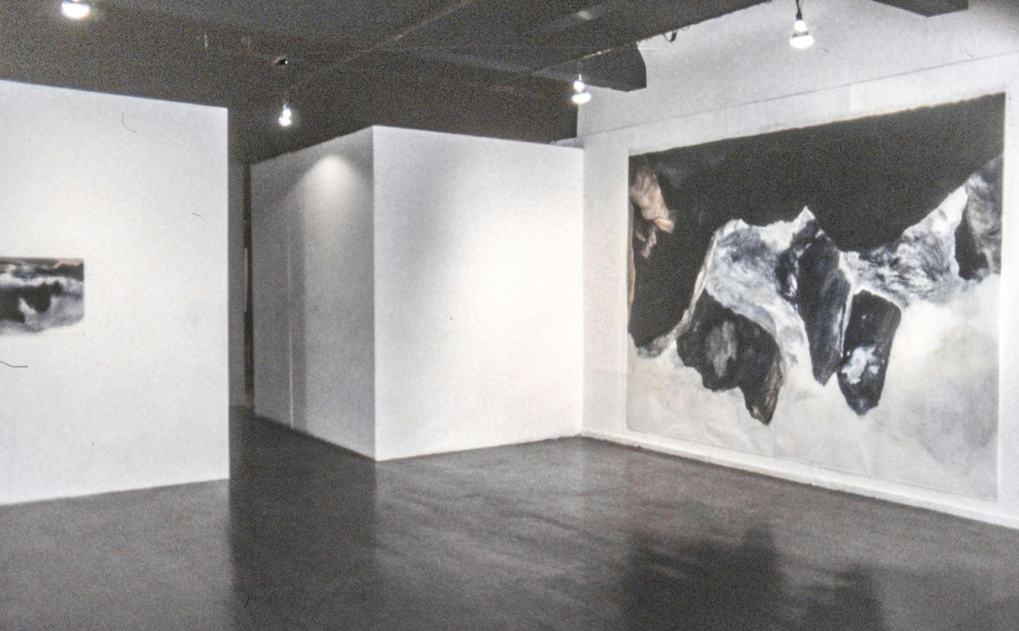A gallery space with two visible drawings on the wall. One of them takes up nearly the whole wall, and the other is fairly small. Both drawings are black and white with mountainous forms.