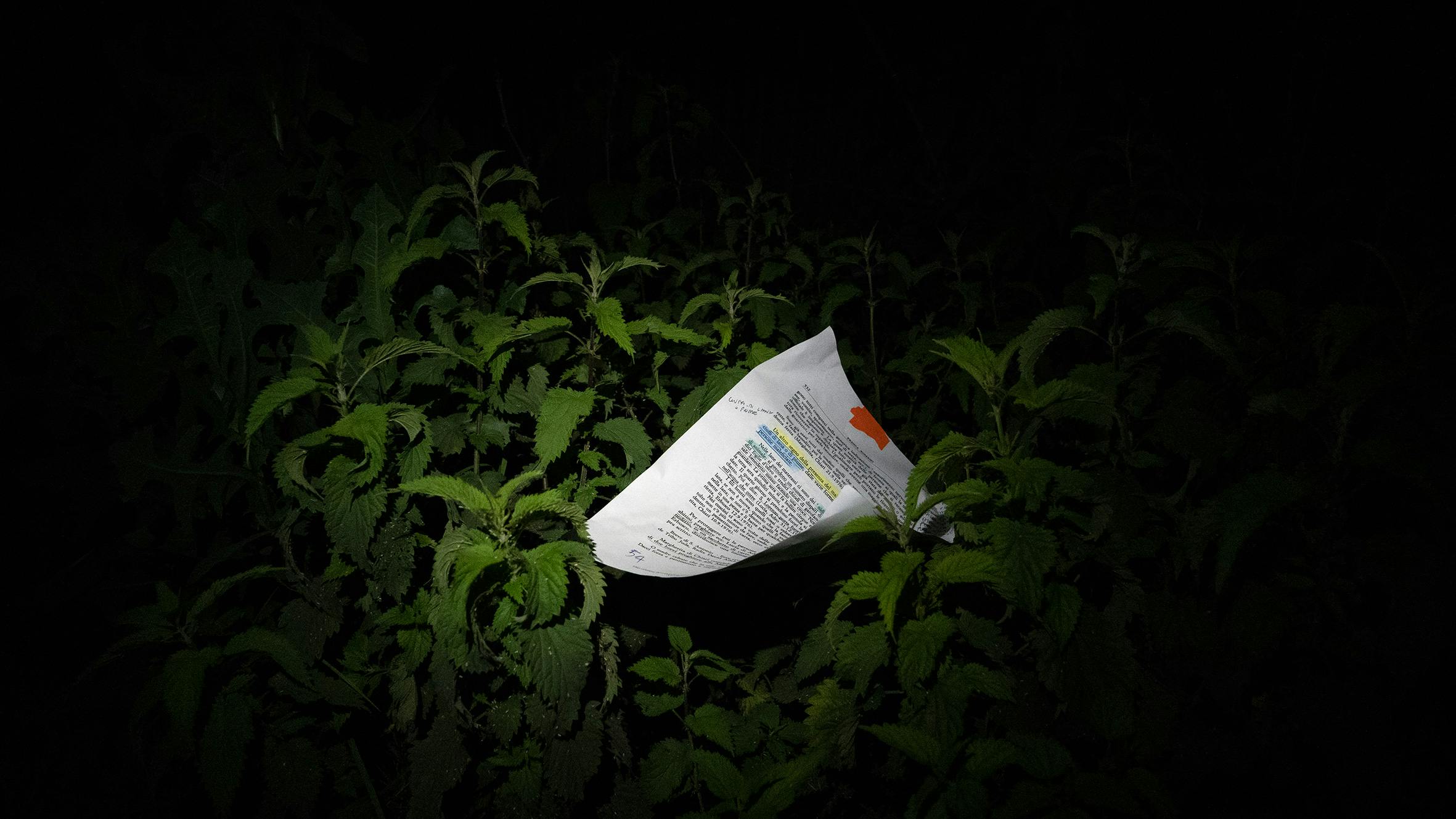 A still image of a script left on a shrub in a night. 