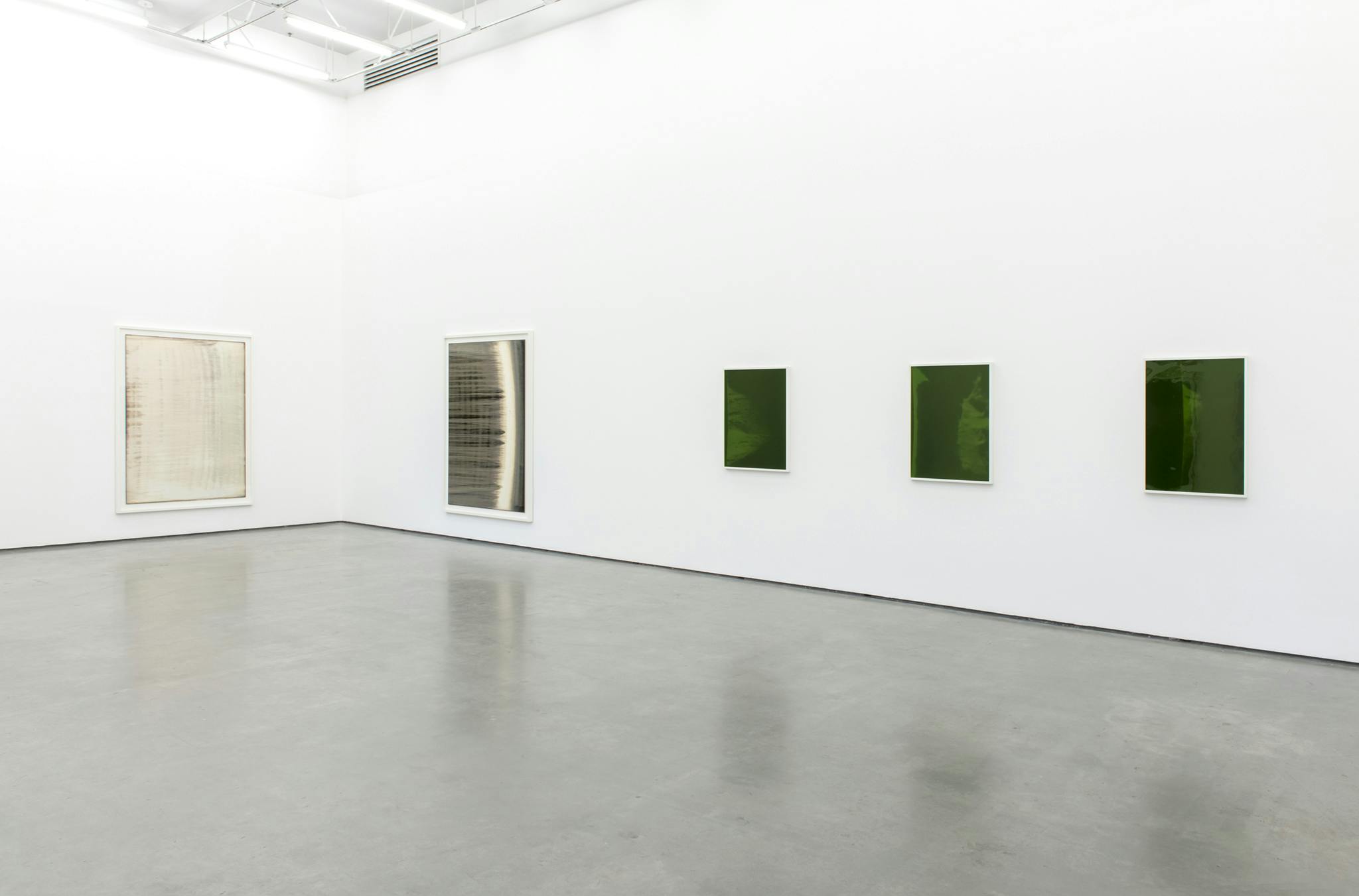 Five framed photographic prints hang on two walls of a gallery space. Two of the images are large-scale, lightly hued and abstract. The remaining three are deep green, smaller scale and abstract. 