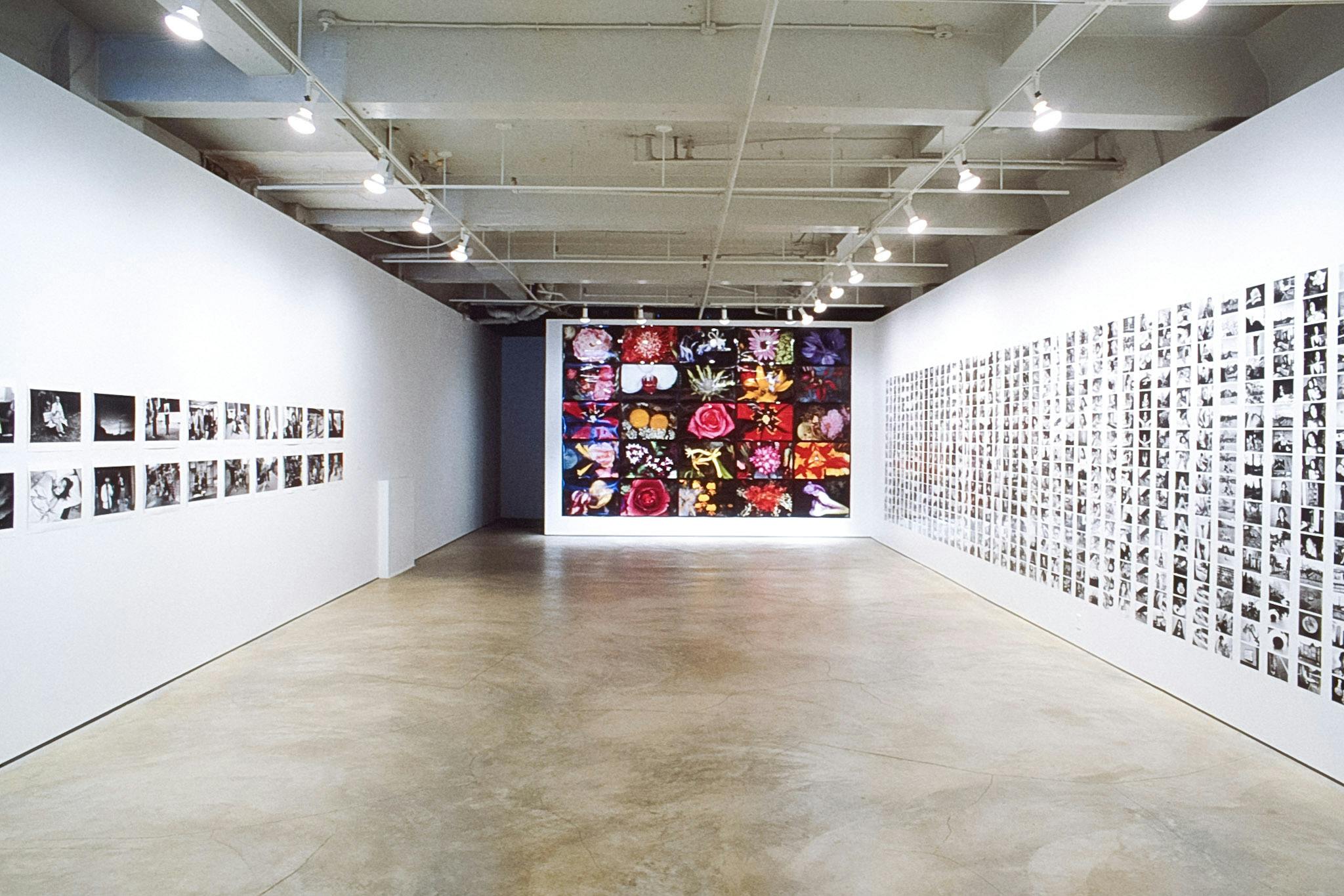Many photographs are installed on the gallery walls. There are some small black and white photographs attached to the side walls. A large-scale coloured photo collage is mounted on the middle wall.