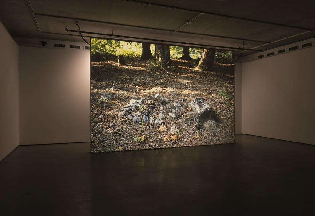 A large screen is installed in a darkened gallery space. Projected on screen is an image of a forest at daytime. In the foreground, a simple fire pit and log are visible on the forest floor.