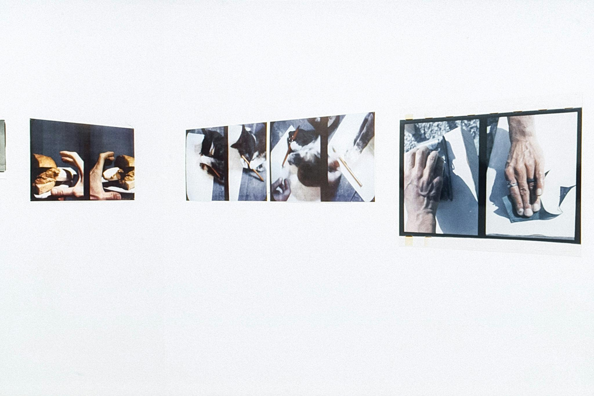 A closeup of the corner of a gallery, with 3 sets of photos on the walls. One set contains 2 photos of a hand and a sandwich. One set shows a cat playing with a pen. One set shows a hand sanding wood.