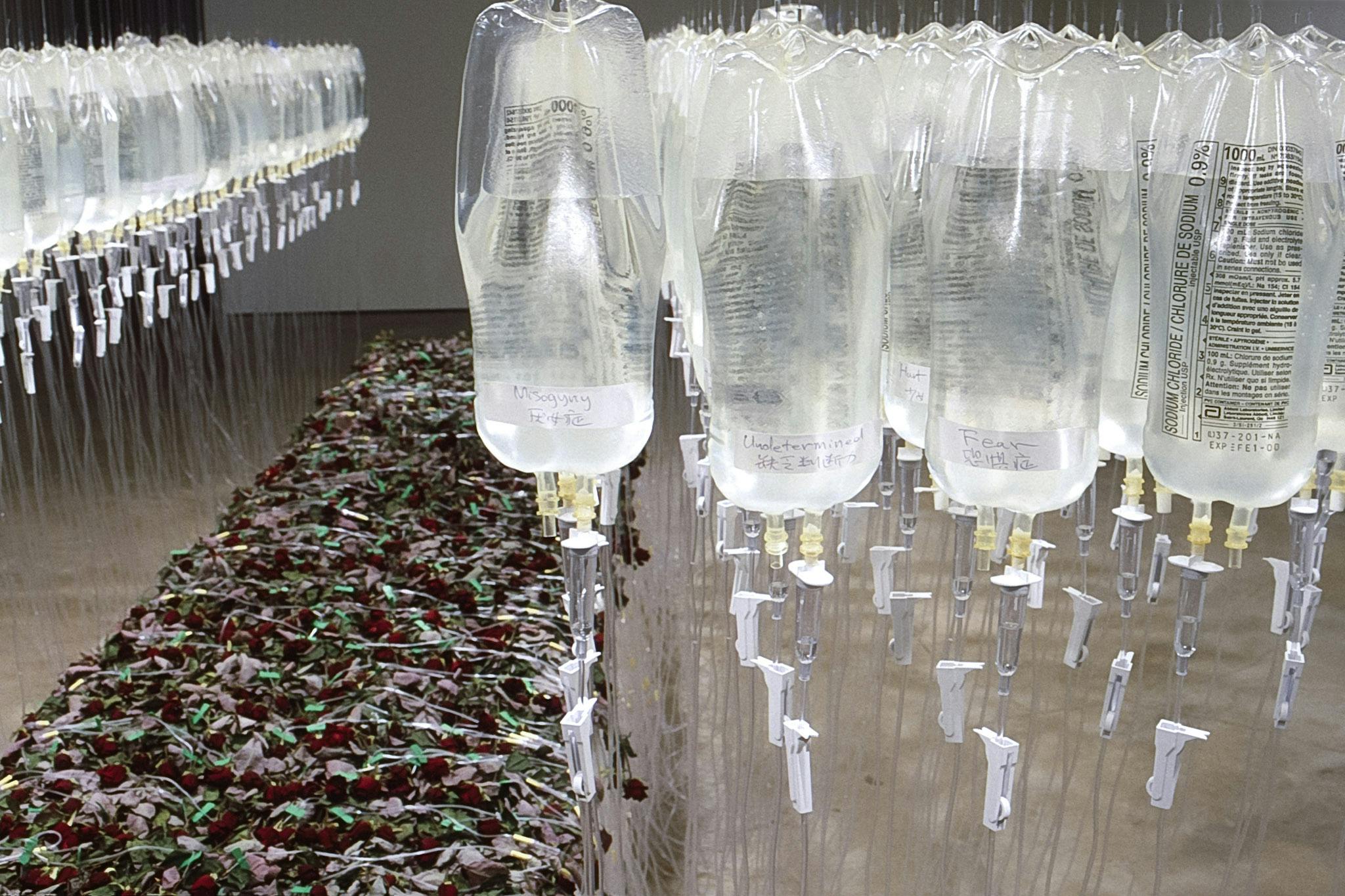 An aerial view of the installation shows the close-up of the infusion bags filled with translucent liquid. The bags are hung from the gallery ceiling and connected to the red roses via tubes. 