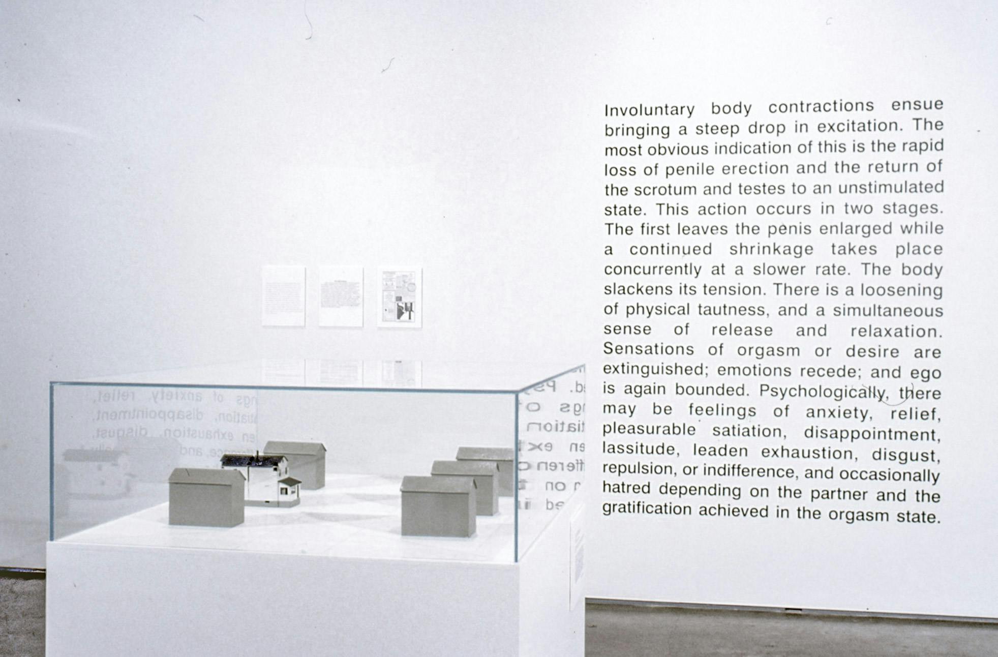 Grey cube-shaped sculptures are installed inside a display box. On the white wall behind this box, a text-based work about a human body function is printed. 