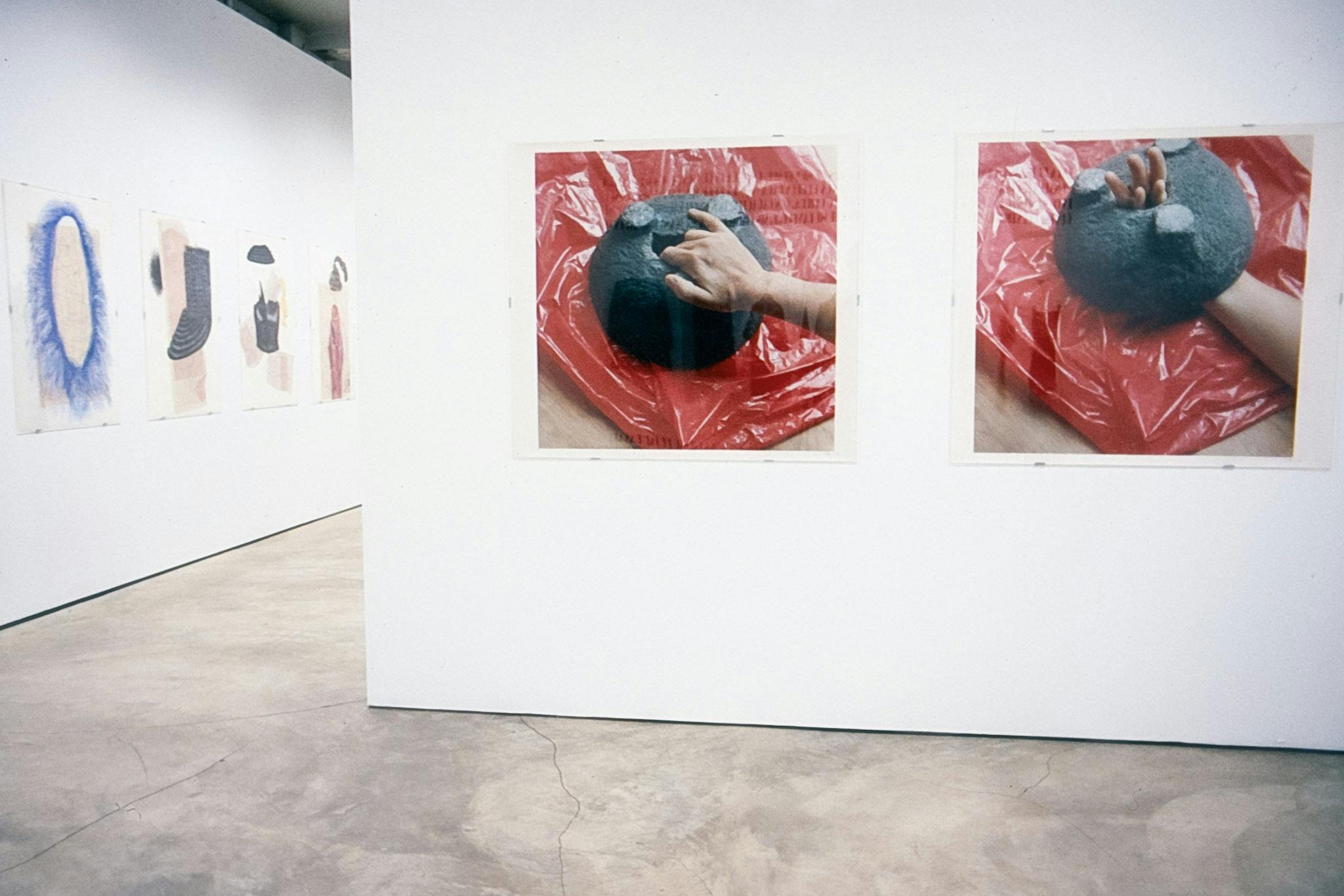 A gallery installation view of various paintings and photographs. On the front wall, there are two photographs of a human’s arm handing a black donut-shaped stone on a red plastic bag.
