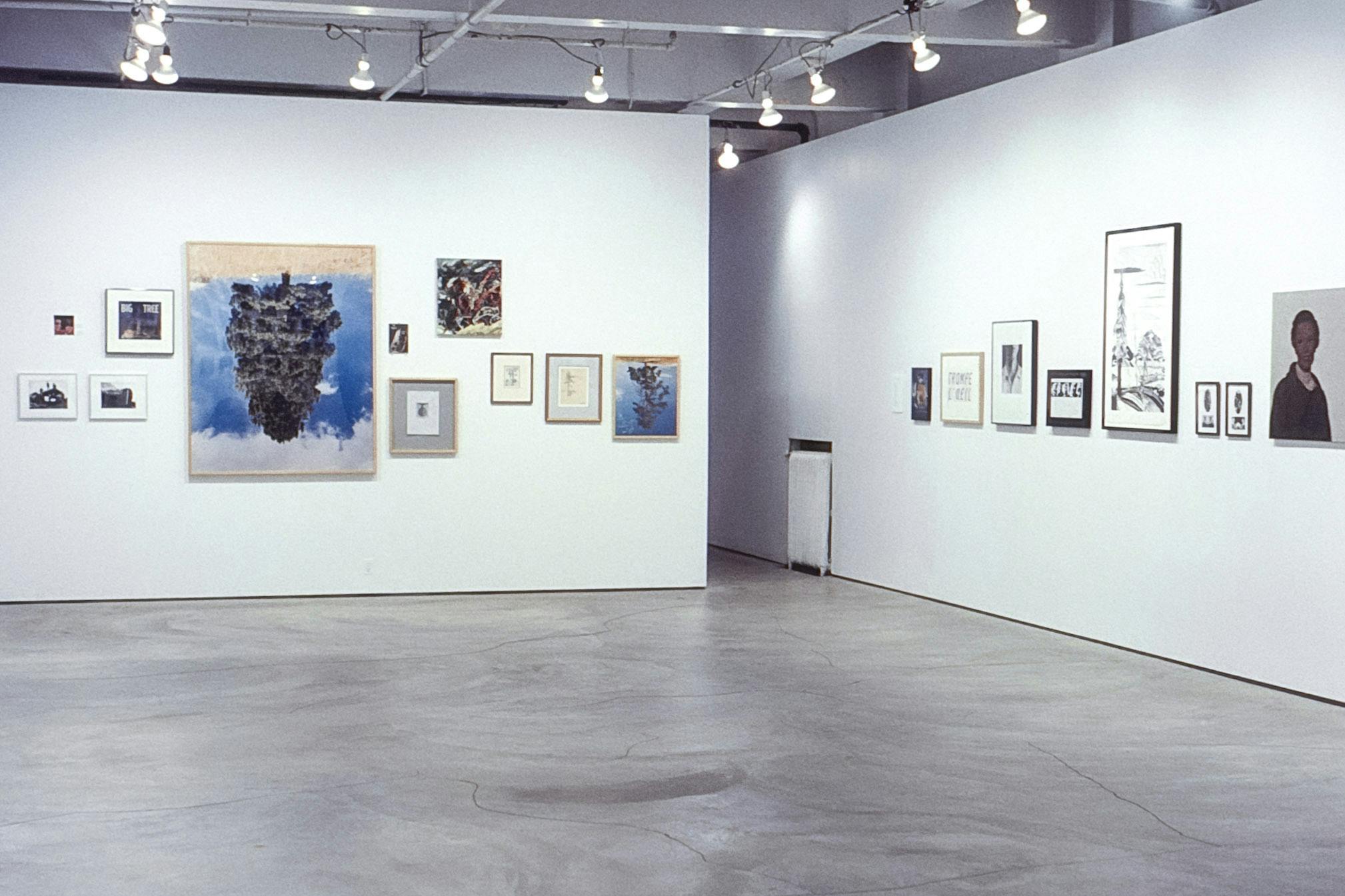 Two walls and a darkened hallway in a gallery space. The walls contain several artworks of different sizes. Two works of different sizes are upside-down photos of trees in front of blue skies. 
