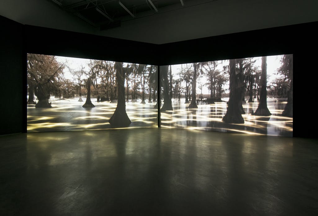 A two-channel video is projected in the corner of a gallery on large screens installed perpendicular to one another. The video depicts trees in a forest. 
