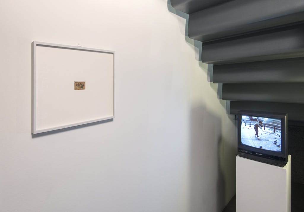 In an alcove under a flight of stairs, a monitor plays a single channel video of Shimabuku chasing pigeons. A framed, two-dimensional artwork is installed on the wall. 