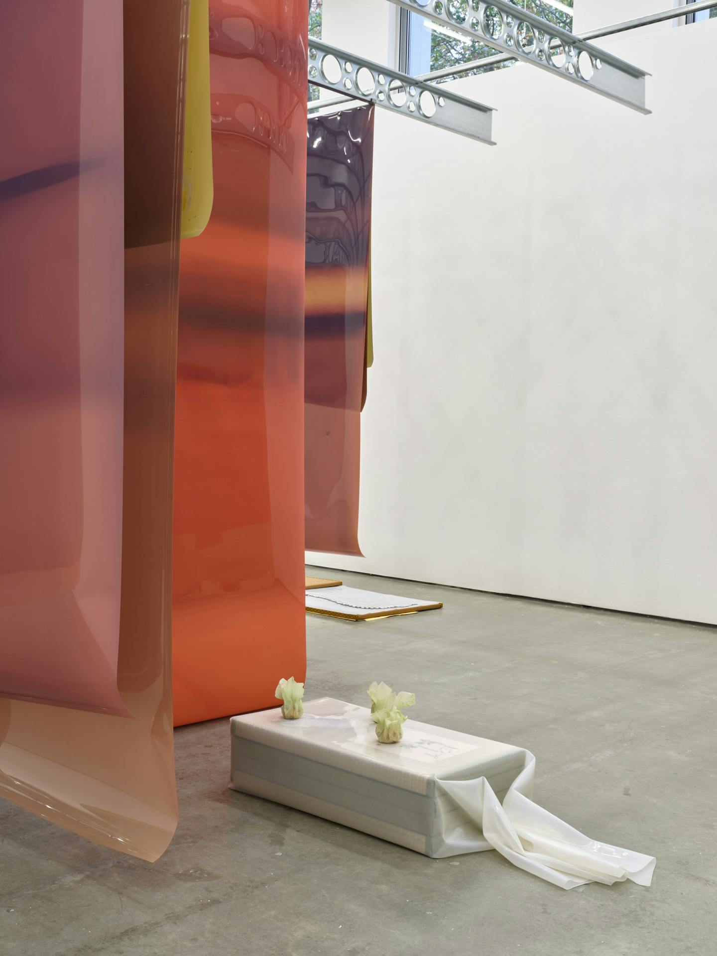 Long earth tone sheets of film of various colours suspended from metal ceiling beams. A small box supporting three fruit is visible between two perpendicular sheets of film. A sculpture of tatami mats and cast aluminum objects sits in the background.