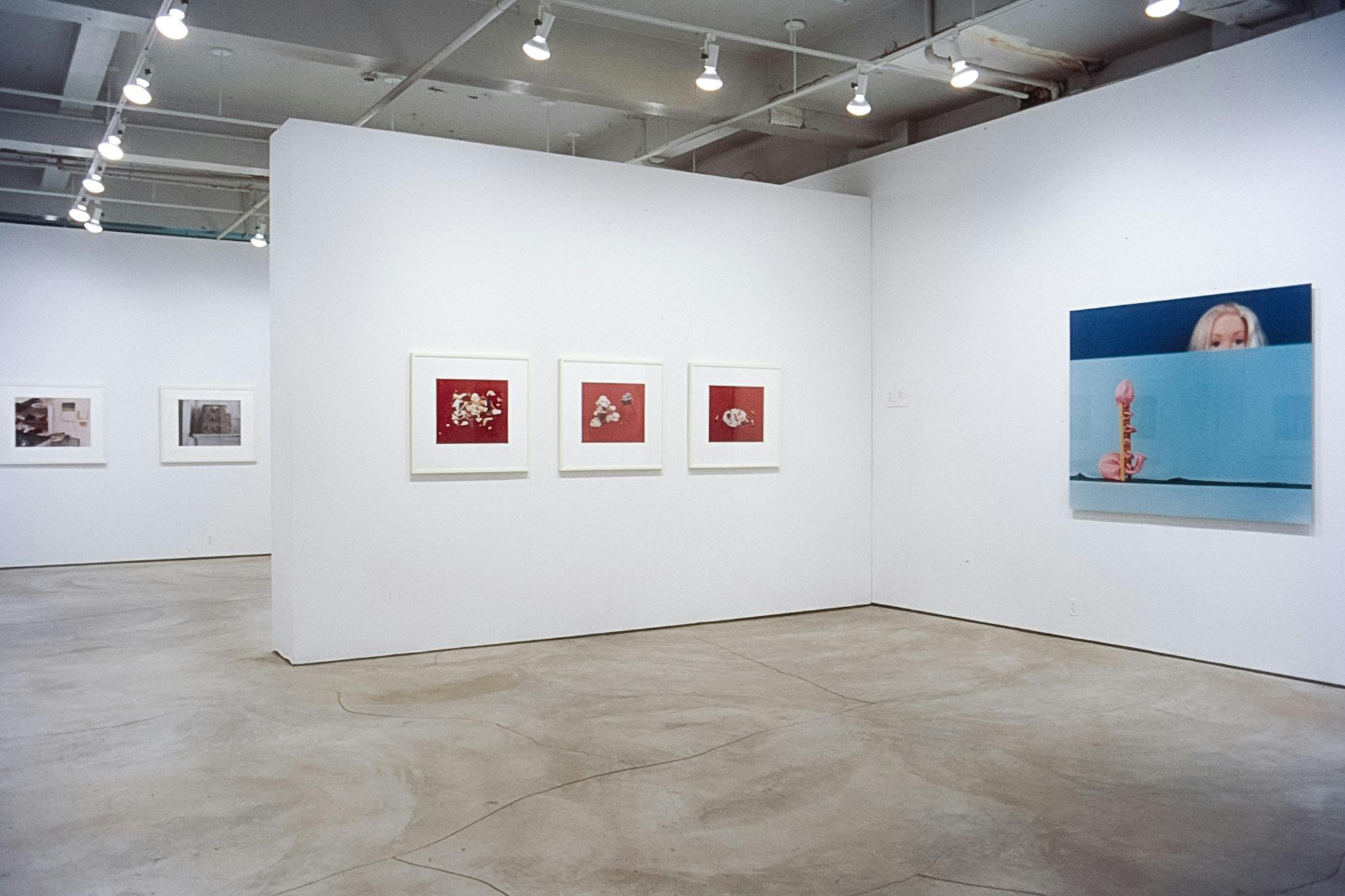 Six artworks are installed on the gallery walls. Three of them show white organic shapes assembled in the red background. The large piece on the front wall shows a girl behind a pink floral sculpture. 